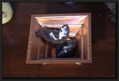 F�r Agnihotra wird eine Kupfer-Pyramide mit bestimmter Form ben�tigt. Hier sind die ersten Kuhdung-St�cke bereits in der Pyramide.