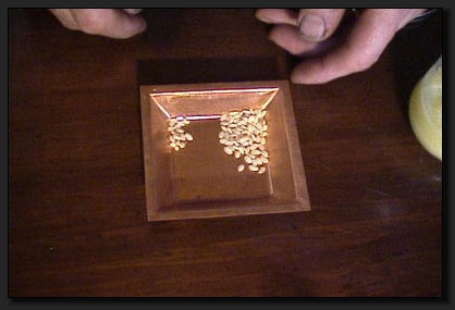 Hier sehen Sie die Menge Reis, die f�r ein Agnihotra ben�tigt wird