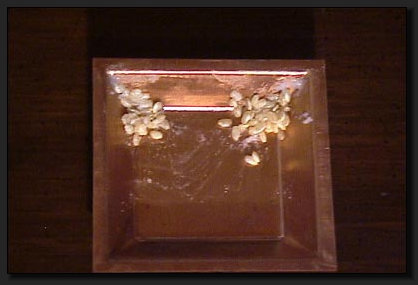 Die Reisk�rner werden mit Ghee vermengt